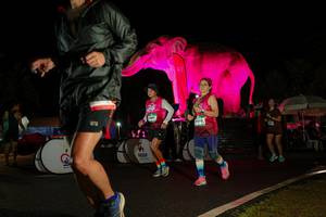 BIB: 
                            <button type="button" onclick="openModal(26544094)" class="btn btn-primary btn-sm float-right btn-popup" data-toggle="modal" data-target=".modal-high-quality">
                        <i class="fas fa-shopping-cart"></i> Add to Cart
                    </button>
                                            <button type="button" onclick="isThisMe(26544094, true)" class="btn btn-success btn-sm float-right btn-popup btn-isme hidden" data-toggle="tooltip" data-placement="bottom" title="นี่คือรูปของคุณใช่ไหม คลิกที่นี่เพื่อเอาเข้าอัลบั้ม">
                        <i class="fas fa-plus"></i> Add to album
                    </button>
                    <button type="button" onclick="isThisMe(26544094, false)" class="btn btn-warning btn-sm float-right btn-popup btn-isnotme hidden">
                        <i class="fas fa-ban"></i> Remove from album
                    </button>